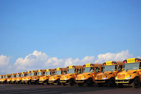 Image result for School Bus Yellow 2018 Fleet