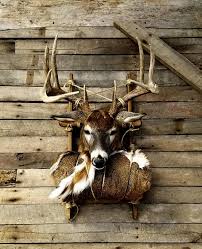 Mossy Oak On Instagram With This Pack Out Mount Going Around Here S Another From Our Archives The Deer Hunting Decor Hunting Cabin Decor Deer Antler Decor