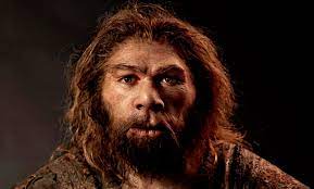 From latin homō (human being) + sapiēns (wise, sensible, judicious). 10 Difference Between Homosapien And Neanderthal With Pictures Viva Differences