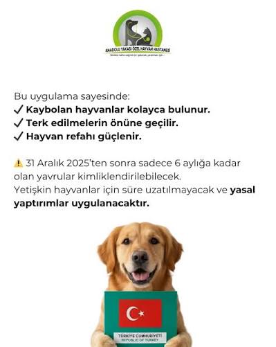 Pati Dostunun Kimlik Kartı: Mikroçip İçin Son Günleri Sakın Kaçırma!
