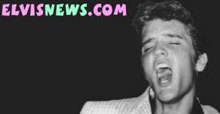 Bill Belew's Instagram, Twitter & Facebook