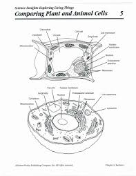 Check spelling or type a new query. Biology Animal Cell Coloring Key Coloring Pages For Kids