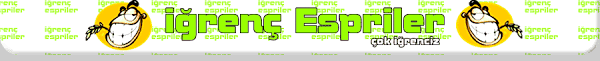 Kediler Havaalanina Neden Giremezle Igrenc Espriler