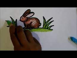 We did not find results for: How To Draw A Rabbit For Kids Tutorial Video Cara Menggambar Kelinci Untuk Anak Anak Atau Pemula Youtube