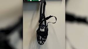 History, including studies in children register online at getthevaccine.dshs.texas.gov. Tennessee Covid 19 Cases Former Vaccine Manager Said She Was Sent A Dog Muzzle Before She Was Fired Abc7 Chicago