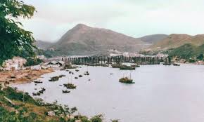 Image result for Gray 1956 Fleet