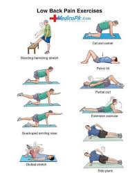 Pin On Rehabilitation