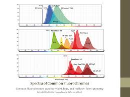 Bd Fluorochrome Chart Related Keywords Suggestions Bd