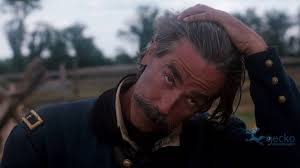 Tim Worrall (tim3599)