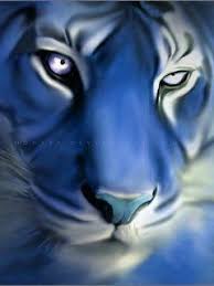 Blue Tiger Wallpaper Tiger Images Tiger Wallpaper Blue Tigers