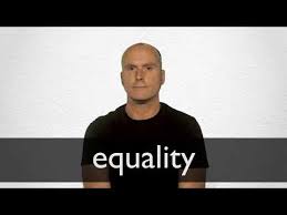 Equality Definition And Meaning Collins English Dictionary
