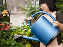 Don's garden shop is your one stop garden supply shop for residential & commercial! Best Gardening Tools For Beginners In 2021
