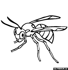 As is well known creative activities play an important role in child development. Wasp Coloring Page Free Wasp Online Coloring Insect Coloring Pages Online Coloring Coloring Pages