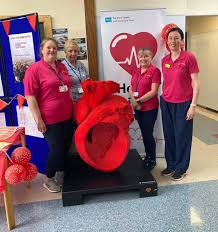 Health and Social Care Trust have been celebrated for their exceptional  daily contributions