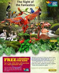 Discover a collection of over 5,000 colorful birds, water fun at the wet playground and more at jurong bird park, singapore. Jurong Bird Park Free Admission For Kids With Every Adult Ticket 16 31 Mar 2013
