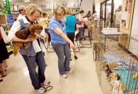 At petsmart, we commit to helping the homeless pet population by not selling cats or dogs. Petsmart Adoption Events The W Guide