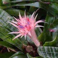 Maybe you would like to learn more about one of these? Lisa Ammerman Marketing Administrator Kimal Lumber Linkedin