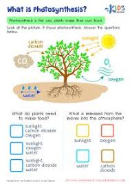 Pin By Alexisbiro On School Photosynthesis Worksheet Photosynthesis Plants Science Experiments