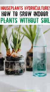 Houseplants Hydroculture How To Grow Indoor Plants Without Soil Plants Houseplants Indoor Plants