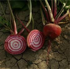 Epingle Sur Jardin Fiches Fruits Legumes