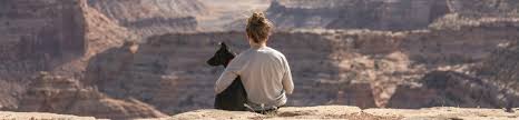 She enjoys traveling and has two cats, harlow and tiberius, and a rescue dog toto. Cat Rescues Georgia Spot Society
