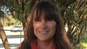 DRF study: Slots tracks drive far less handle