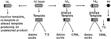 We did not find results for: Using Studies On Tryptophan Metabolism To Answer Basic Biological Questions Journal Of Biological Chemistry