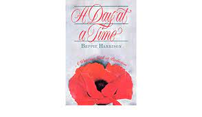 Women's perfection online shop, patuakhali, chittagong, bangladesh. A Day At A Time A Woman S Look At Perfection Harrison Beppie 9780884949183 Amazon Com Books