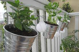 How to grow your own food on the terrace like celebrities. How To Turn Your Tiny Balcony Into An Outdoor Paradise