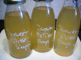 Vorrat Ingwer Melissen Zitronen Sirup Rezept Rezept Sirup Rezepte Ingwersirup Rezepte Ingwersirup