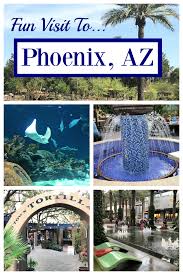 Fun Things To Do In Phoenix With Kids Fun Squared Kids Vacation Arizona Vacation Phoenix Vacation