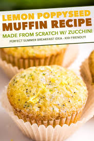 We did not find results for: Lemon Poppy Seed Muffins With Zucchini The Chunky Chef