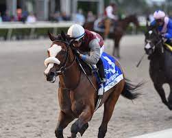 Kentucky Derby 2020 Why Your Horse Can And Can T Win