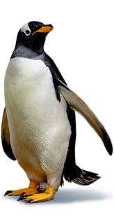 — kyle palmieri's second goal of the game 16:30 into overtime lifted the. Ski Dubai Penguins Tickets Packages Information Ski Dubai