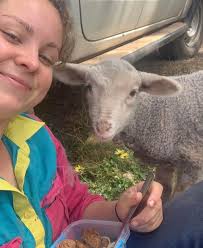 Looking for last minute winter grazing for 220 ewes ( can be split ) 1 or 2  months North Wales