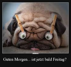 Schonen Montag Morgen Kaffee Bilder Und Spruche Fur Whatsapp Und Facebook Kostenlos