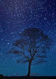Semoga kawan kawan semua bisa. Background Langit Malam Portrait Hd Yahoo Image Search Results Portrait Background Background Abstract Landscape