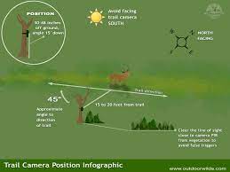 This zone is where the camera detects movement. What Is A Trail Camera Complete Guide Best Practices Trail Camera Camera Game Cameras