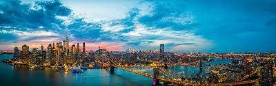 Find and connect with new york city's best pest control companies. 5 Best Pest Control Companies In New York City Ny New York Daily News