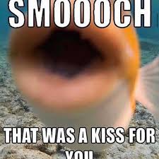 A New Meme Suggests New Looks For Dear Men In 2021 Stupid Memes Cute Love Memes Cute Memes