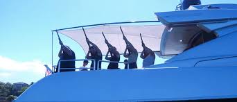 New firebird clay target finale. Laser Clay Pigeon Shoot On Water Dinner Drinks Circular Quay