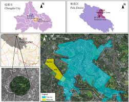 Image result for Eschenbachia ulmifolia