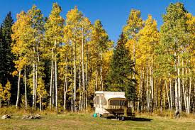 Maybe we'd camp more often if i had a box packed and ready to go all the time. 21 Things To Know Before Buying A Pop Up Tent Trailer Camper Report