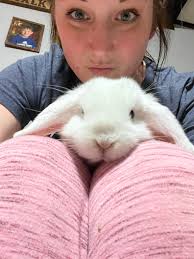 Luna so LOVES the Christmas tree. She loves to sit under it and look at the  lights.