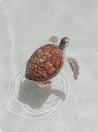 Pin By Vibes On Aesthetic Ideas Turtle Wallpaper Cute Animals Cute Animal Photos