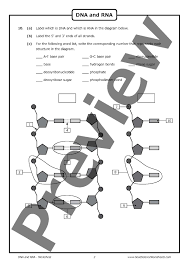 Dna replication worksheet answers free printable worksheets from dna structure and replication review worksheet source mobiappsystems once an employee knows his efforts don t go. Worksheets Dna Replication Worksheet Printable Worksheets And Text Structure Finding The Main Idea Worksheets With Answers Kindergarten Alphabet Worksheets Free Worksheets To Print Worksheet To Print