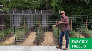 Made of items from the hardware store, our version supports pole beans, morning glory, and vigorous hop vines that would otherwise ramble. How To Build Diy Trellis For Greenhouse Vegetables And Fruits