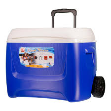 Igloo Coolers Island Breeze 60 Roller Buy And Offers On Waveinn