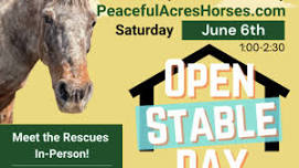PAH Open Stable Day