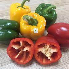 Check spelling or type a new query. Sweet Pepper Fresh Cherry Peppers Fresh Capsicum For Sale Buy Fresh Green Capsicum Fresh Red Chilli Pepper Red Sweet Vinegar Peppers Product On Alibaba Com